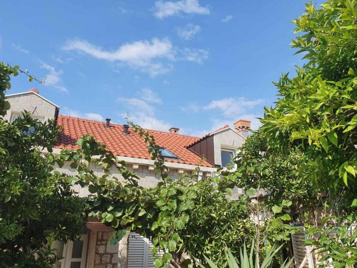 דירות Dubrovnik Tirena מראה חיצוני תמונה